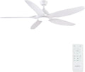 Newday Deckenventilator, 153CM, Weiß, en Große, mit Beleuchtung und Fernbedienung Leise, Ventilator Lampe Decke mit 5 Flügel