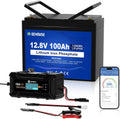 DC HOUSE Deep-Cycle-Batterien, 100 Ah, 12 V, Schwarz, DC Bluetooth Lithium Batterie mit 10A Ladegerät, BMS 100A